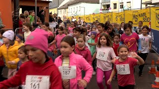 Pferscherlauf in Brunn am Gebirge [upl. by Yrem150]