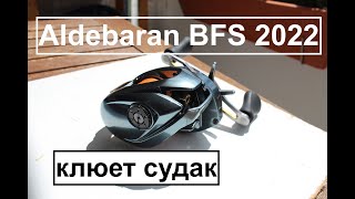 Знакомтесь Shimano Aldebaran BFS XG 2022 года А также покидушки на воде и борьба с судаком за 2 кг [upl. by Adnilav344]