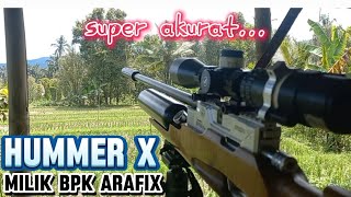 HUMMER X POLYMAX A12 LHYPER X 14 GR ACURACY 1000 FPS ENTENG MAIN 100 UP MILIK BPK ARAFIK [upl. by Aloeda]