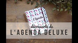 Agenda version Deluxe pour organiser toute votre vie   Deux Soeurs Un Agenda [upl. by Applegate760]