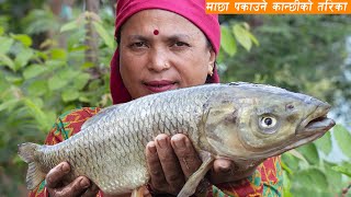 माछा पकाउने असली तरिका  Fish Cooking in Nepali Style  Machha Pakaune Tarika  KanchhiKitchen [upl. by Latsirc]