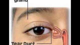 Bells Palsy  Protect Your Eyes  Punctal Plugs [upl. by Raman]