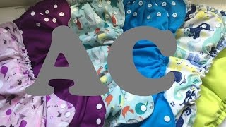 AppleCheeks Diaper Review Cover Insert and Swim [upl. by Bonny]