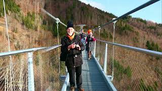 2023 12 31 Neu Die Hängebrücke am Todtnauer Wasserfall [upl. by Pickett]