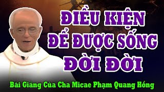 Phải Làm Những Việc Gì Cụ Thể Để Được Sống Đời Đời  Bài giảng của Cha Micae Phạm Quang Hồng [upl. by Berga]