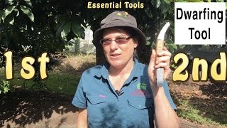 Dwarfing Tool Cincturing or Girdling Fruit Trees  Quicker Fruiting [upl. by Ecerahc941]