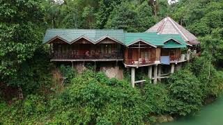 Tangkahan  Jungle Lodge [upl. by Franchot]