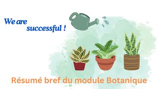 Petit résumé du module botanique Deuxième année SNV [upl. by Anabella983]