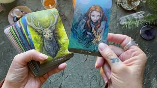 quotWitch Sister Tarotquot  Deck Walkthrough [upl. by Centonze]