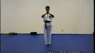 Hapkido Forms  Hapkido Hyung Sae Hapkido Form [upl. by Gilbart]