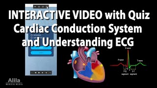 NEW INTERACTIVE Animation Cardiac Conduction System and Understanding ECG EKG [upl. by Lobiv]