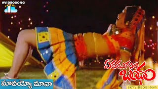 Edadugula Bandham Movie l Mavayyo Mama Video Song l Mohan Babu Jayasudha skyvideostelugu [upl. by Mllly]