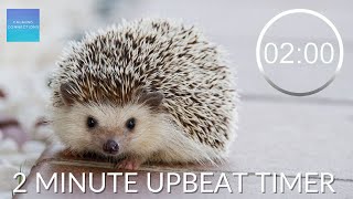 2 Minute Countdown Timer With Upbeat Music ⏲  Pack Up Time Music  🦔 Hedgehog packing up timer [upl. by Okier]