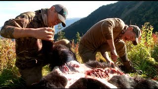 How to Skin and Butcher a Black Bear with Steven Rinella  MeatEater [upl. by Kaspar]