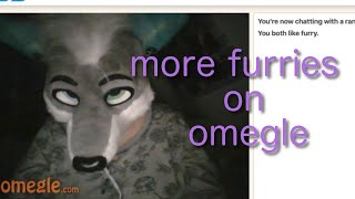 MORE FURRIES ON OMEGLE [upl. by Deni741]