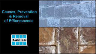 What Causes Efflorescence and how to remove and prevent it [upl. by Nils724]