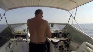 Spearfishing Carrabelle Aug 22 2014 [upl. by Ayk]