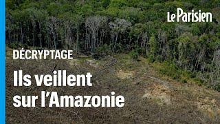 Forêt amazonienne  le Brésil à nouveau surveillé par des satellites contre la déforestation [upl. by Nohsyar]