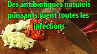 Des antibiotiques naturels puissants tuent toutes les infections  conseils [upl. by Telocin]