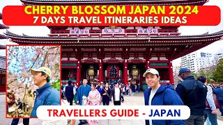 Japan Cherry Blossom Travel Itineraries Ideas 2024 [upl. by Espy58]