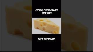 Proving cheese can get 100k subs day 7 cheese [upl. by Eremehc]