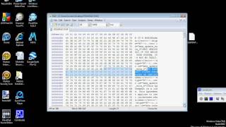 HxD Hex Editor [upl. by Lutero624]