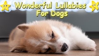 Relaxing Sleep Music For Dogs And Puppies ♫ Effective Lullaby To Calm Your Dog [upl. by Humo486]