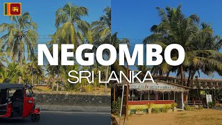 NEGOMBO SRI LANKA 8 days in paradise staying at Negombo Beach  where to eat what to see and do [upl. by Bennet371]