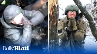 Russian troops surrender to Ukrainian drones in rare footage from the frontlines [upl. by Grefer]