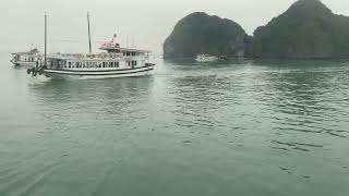 Hidden Wonders Discovering Halong Bays Secrets [upl. by Evans]