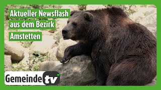 Ferienspiele Tierpark und der Eventtipp aus dem Bezirk Amstetten [upl. by Worlock]