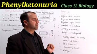 Phenylketonuria Class 12 Biology  Point Mutation  DNA and Chromosome [upl. by Kirad]