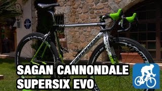 Peter Sagans Cannondale SuperSix Evo Tour de France 2013 [upl. by Malia]