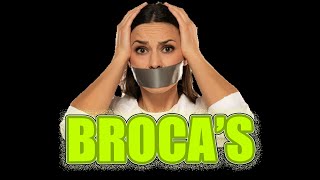 The Astonishing Truth About Brocas Aphasia  3 min ⏰ Neuropsychology [upl. by Matrona615]