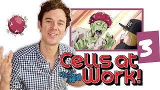 Real DOCTOR reacts to CELLS AT WORK  Episode 3  quotInfluenzaquot [upl. by Ppik]