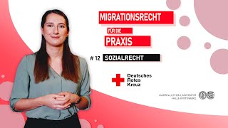 Schulung Migrationsrecht Teil 12 Sozialrecht [upl. by Albur584]