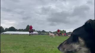 Widecombe Fair 2022 2 [upl. by River]