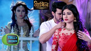 Sesha Angry Seeing Shivanyas Love For Ritik  Naagin [upl. by Inez]