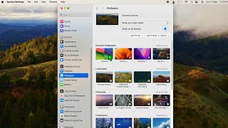 Where are the Wallpapers Stored on Mac [upl. by Ursas]