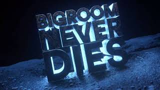 Hardwell amp Blasterjaxx feat Mitch Crown  Bigroom Never Dies Visual Video [upl. by Llednar]