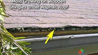 Home Inspection  Roofs  Part 3 of 3 [upl. by Ivgnout769]