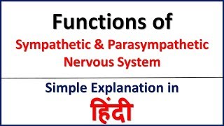 Functions of Sympathetic amp Parasympathetic Nervous System in Hindi  Bhushan Science [upl. by Aisatnaf518]