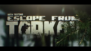 ESCAPE FROM TARKOV FACTORY SCAV RUN [upl. by Halian164]