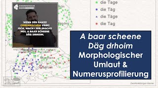 quotA baar scheene Däg drhoimquot – Der morphologische Umlaut amp Numerusprofilierung 🗨️ Sprawib [upl. by Ttej317]