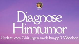 Diagnose Hirntumor Update vom Chirurgen nach knapp 3 Wochen  Lie liest vor Kanalupdate [upl. by Urina]