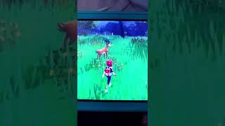 Random encounter shiny Sawsbuck pokemonscarlet shinypokemon [upl. by Wolenik]