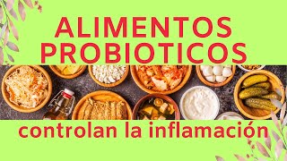 PROBIOTICOS CONTRA la INFLAMACIÓN [upl. by Ltihcox]