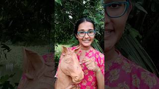 এই ঘোরাটিকে আজ রং করে নিলাম 🐴 art clay model shorts viralvideo minivlog [upl. by Eugenides]