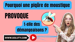 MOUSTIQUE  Pourquoi une piqûre de moustique provoque telle des démangeaisons [upl. by Stannwood]