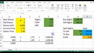 Rights Issue Calculator Excel Library Video 00006 [upl. by Nell]